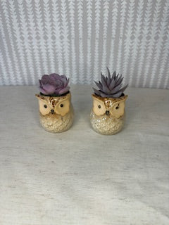 2.5 inch Mini Ceramic Owl pots with artificial succulents