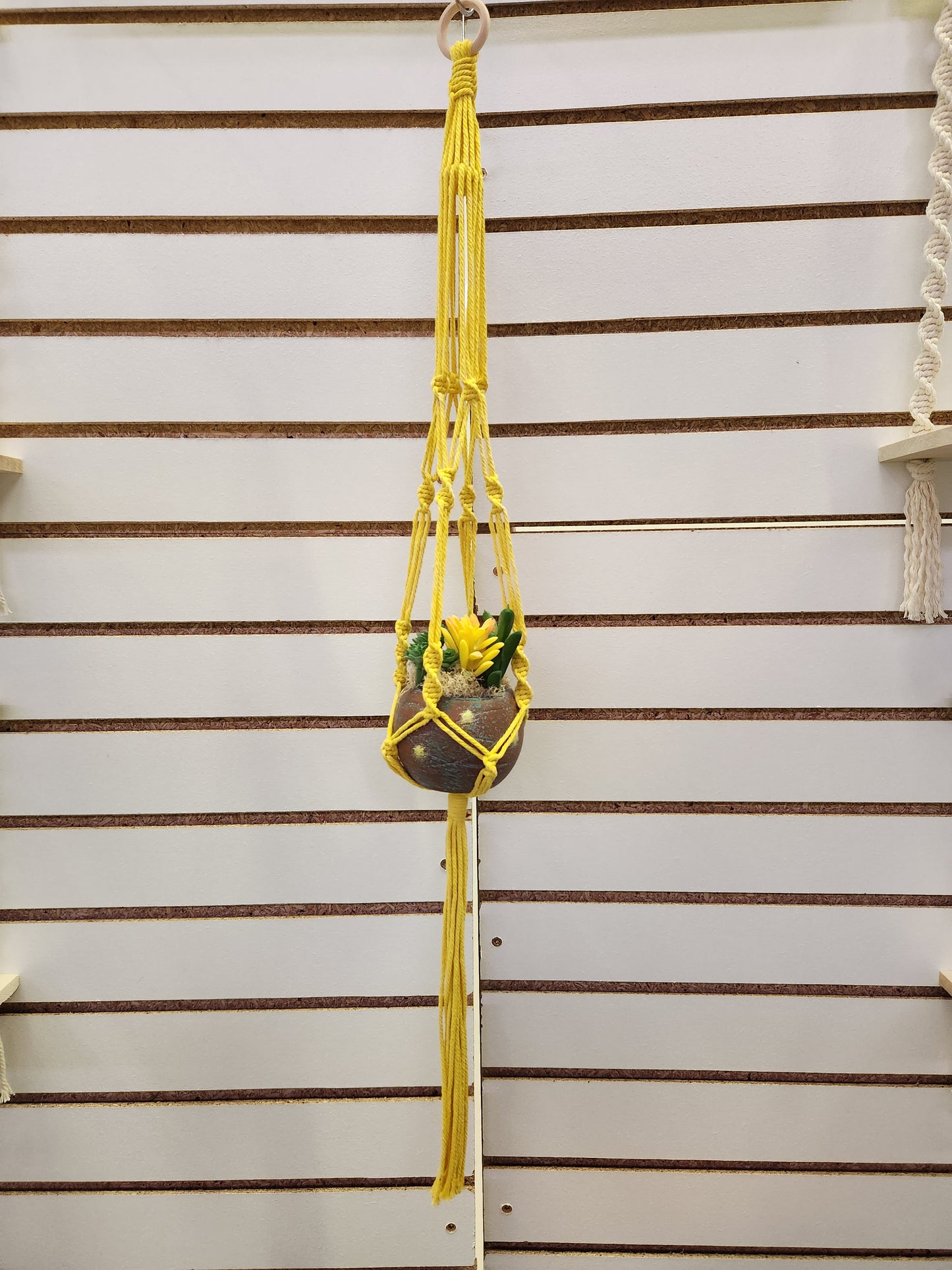 Yellow Plant Hanger