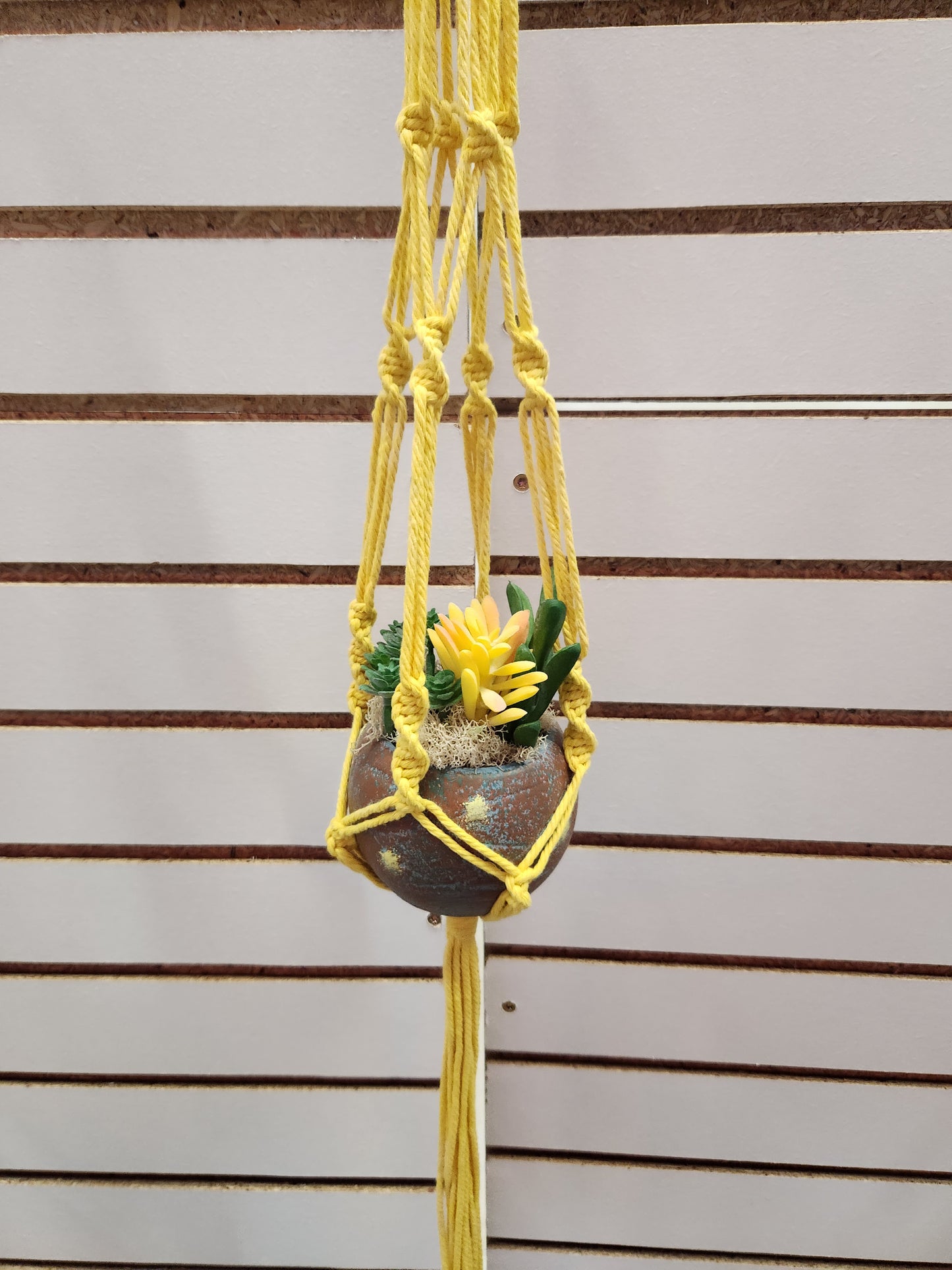 Yellow Plant Hanger