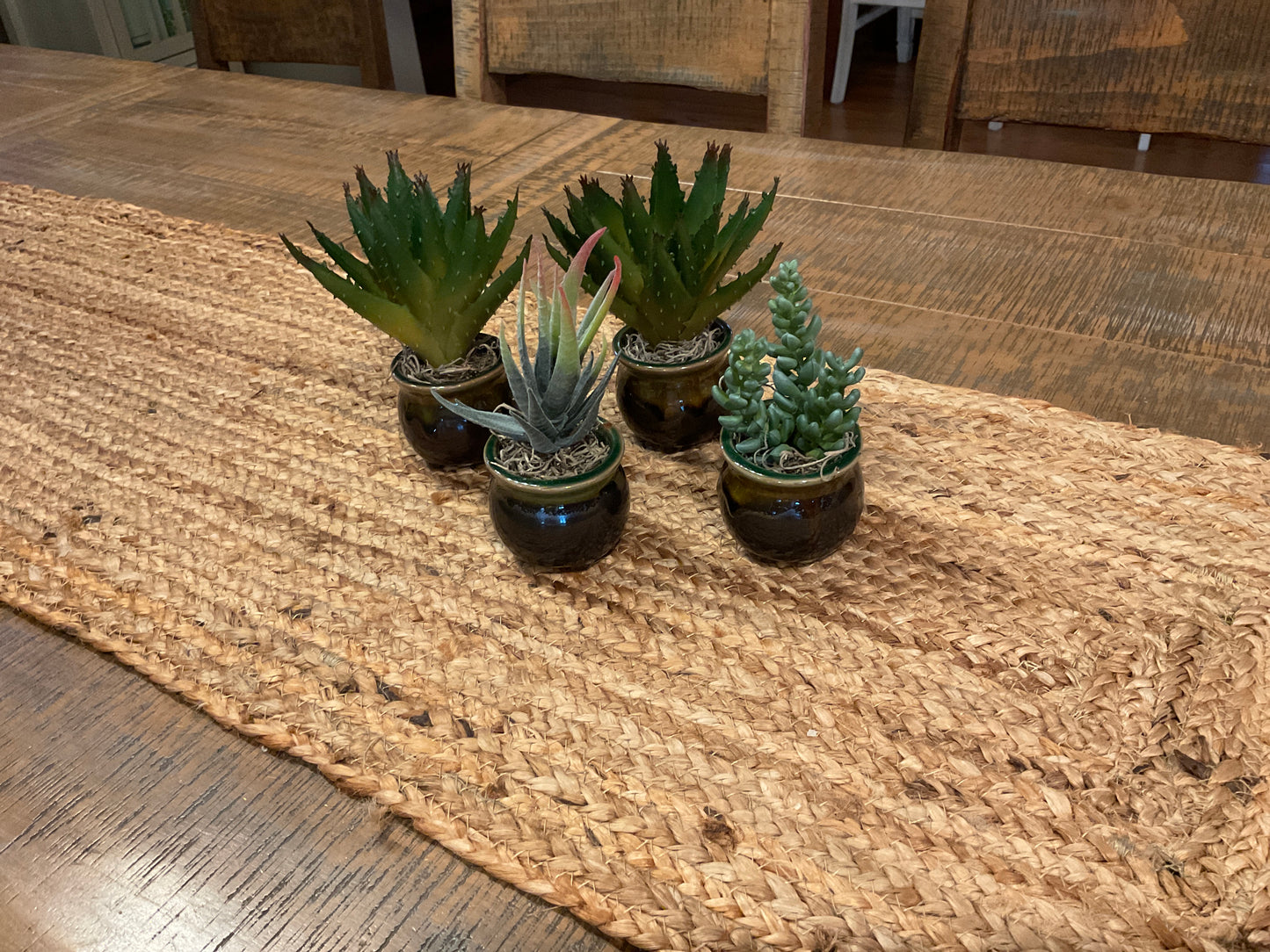 2 Inch Ceramic Pots Black & Tan with Artificial Succulents