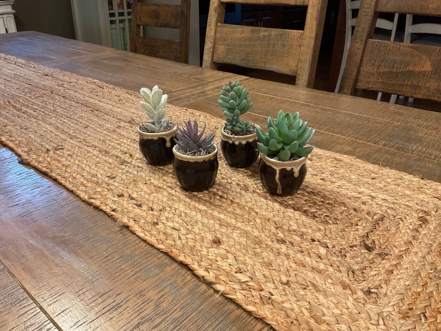 2 Inch Ceramic Pots Black & Tan with Artificial Succulents