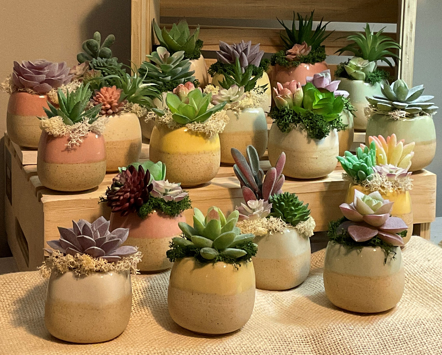 2.5 Inch Mini Ceramic Pots with Artificial Succulents