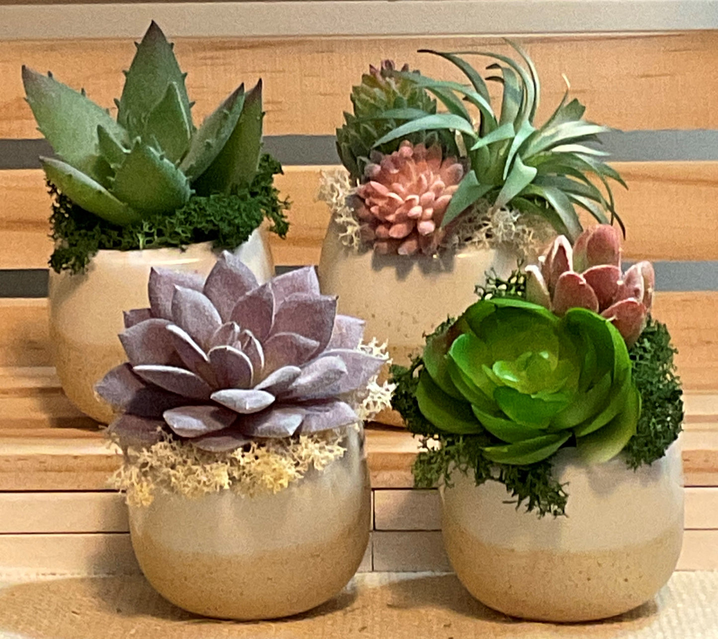 2.5 Inch Mini Ceramic Pots with Artificial Succulents