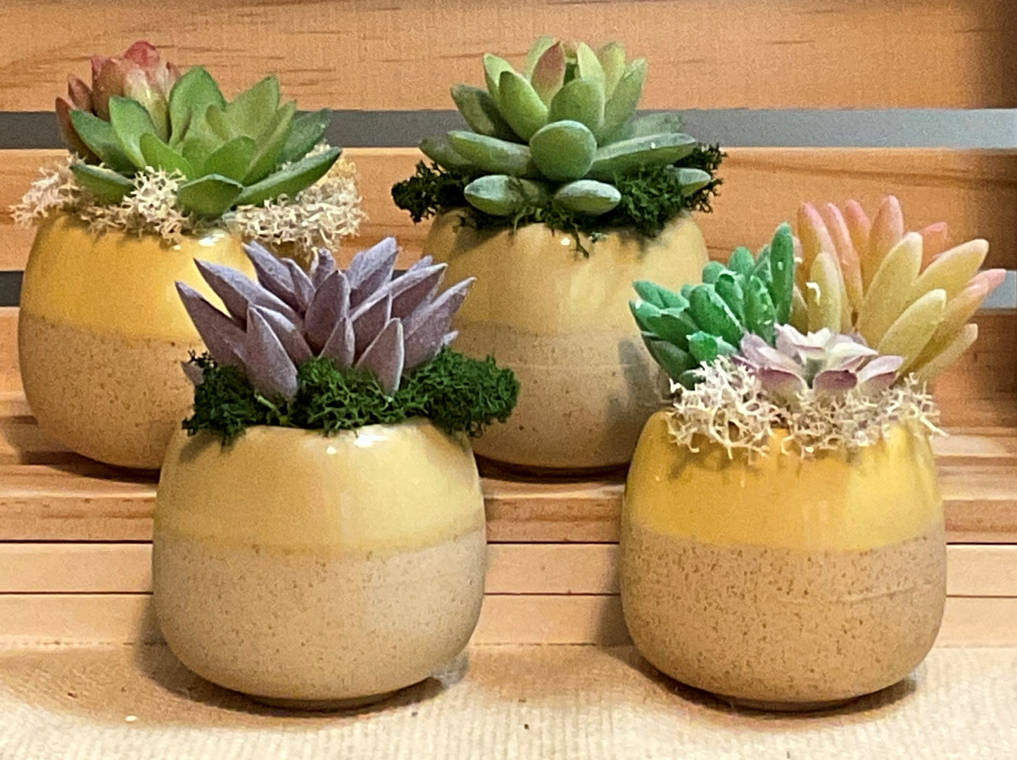 2.5 Inch Mini Ceramic Pots with Artificial Succulents